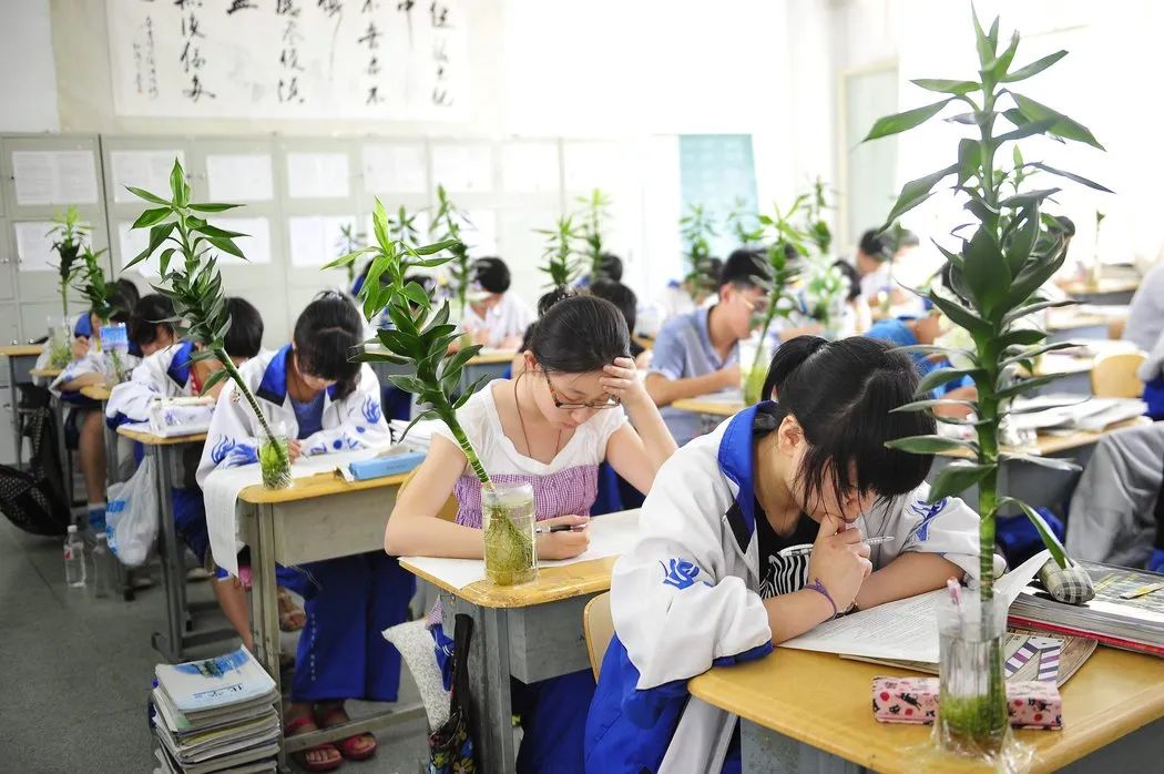 How do general high school students apply for Canadian undergraduate programs?