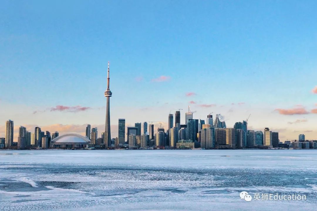 Ivey, Rotman, Schulich, Waterloo smashed offers from four major business schools. How she did it