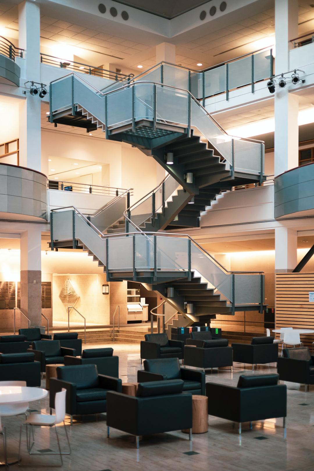 What did the first British Lions student to get the Rotman School of Business do right?